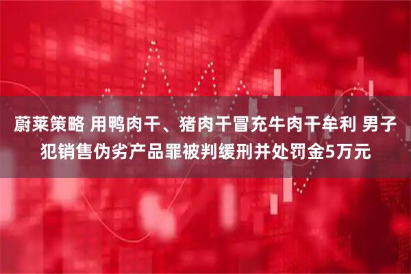 蔚莱策略 用鸭肉干、猪肉干冒充牛肉干牟利 男子犯销售伪劣产品罪被判缓刑并处罚金5万元